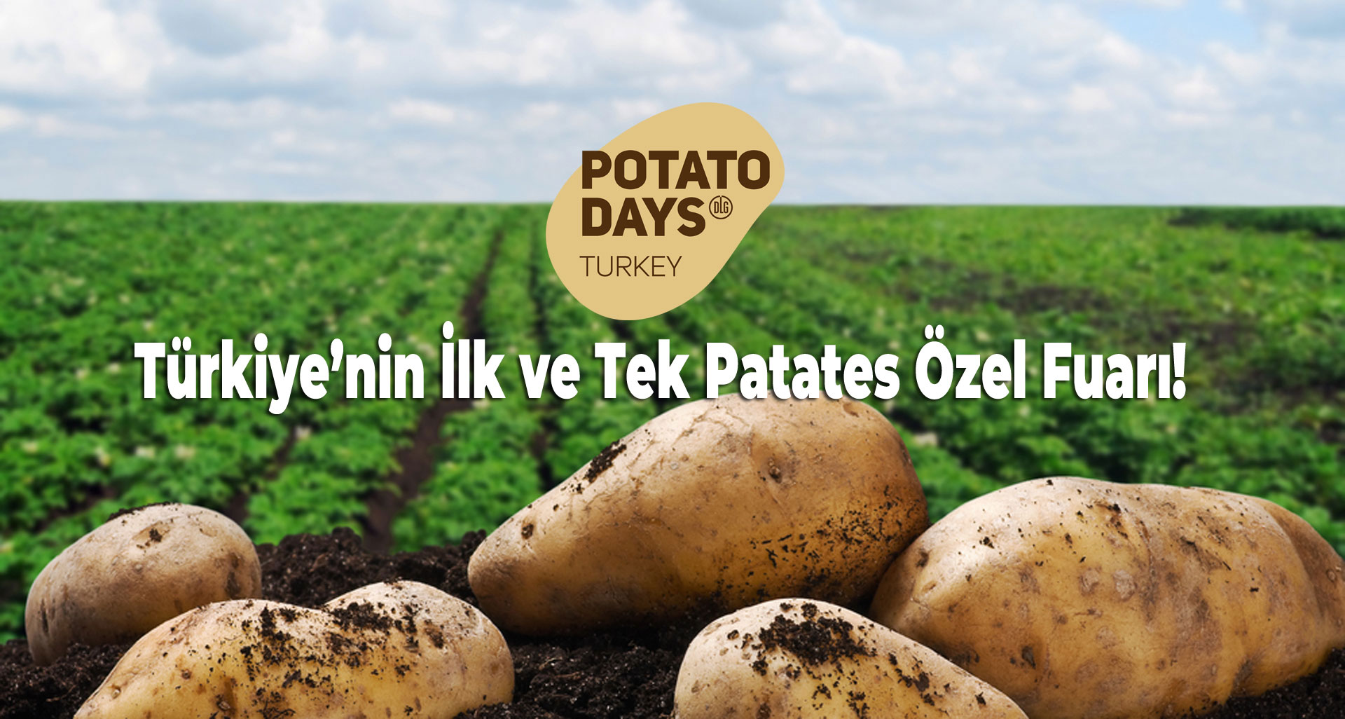 Patates Gnleri Trkiye-2019